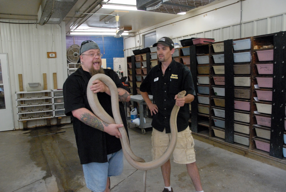 Reptile Gardens