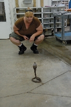 Reptile Gardens