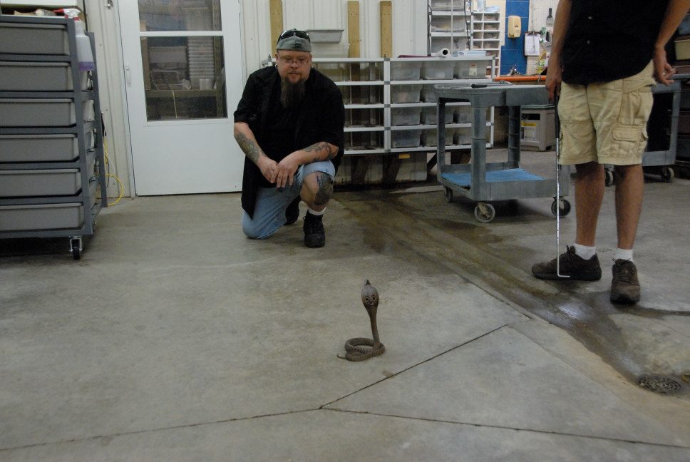 Reptile Gardens