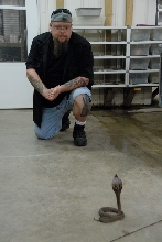 Reptile Gardens