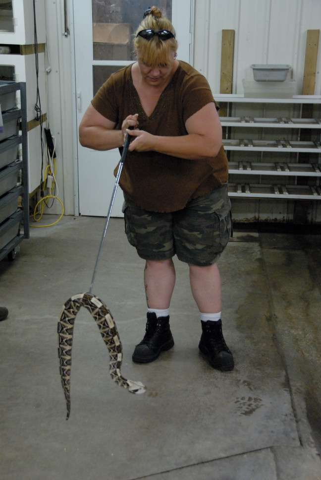 Reptile Gardens