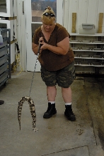Reptile Gardens