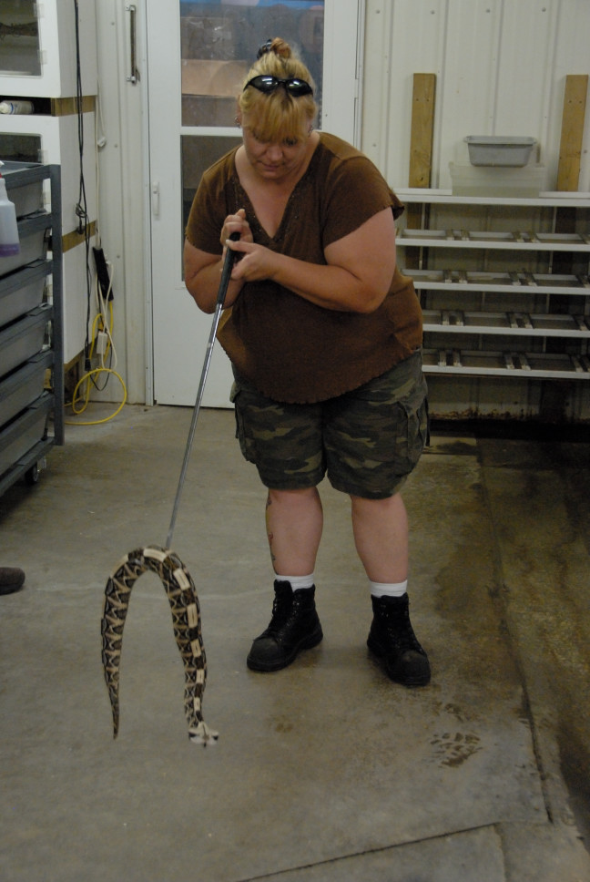 Reptile Gardens
