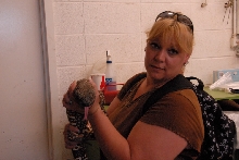 Reptile Gardens