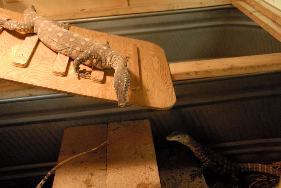 Reptile Gardens