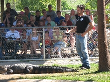 Reptile Gardens