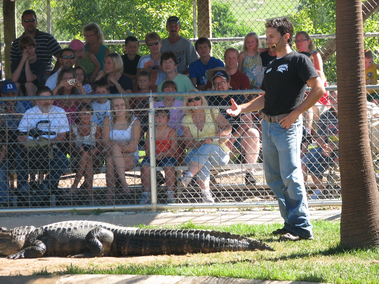 Reptile Gardens