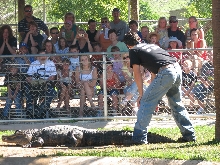 Reptile Gardens