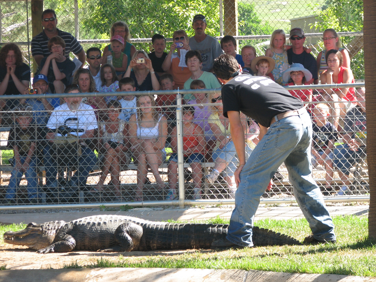 Reptile Gardens
