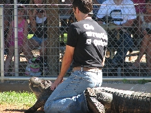 Reptile Gardens