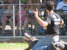 Reptile Gardens
