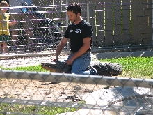 Reptile Gardens