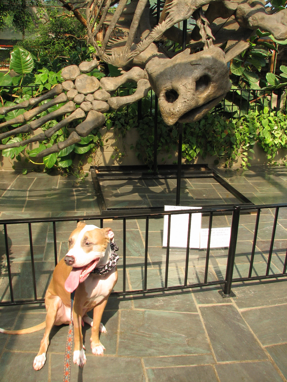 Reptile Gardens