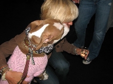 Yappy hour hosted by Central Bark