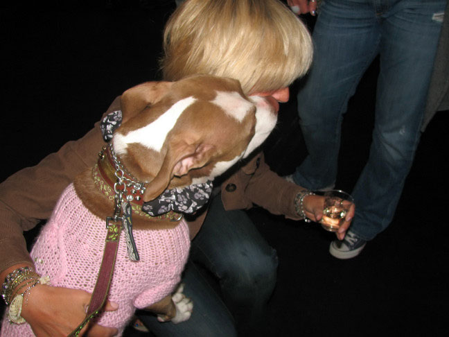 Yappy hour hosted by Central Bark