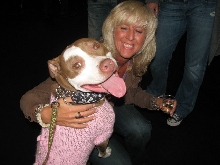 Yappy hour hosted by Central Bark
