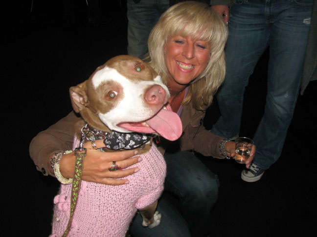 Yappy hour hosted by Central Bark