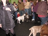 Yappy hour hosted by Central Bark