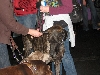 Yappy hour hosted by Central Bark