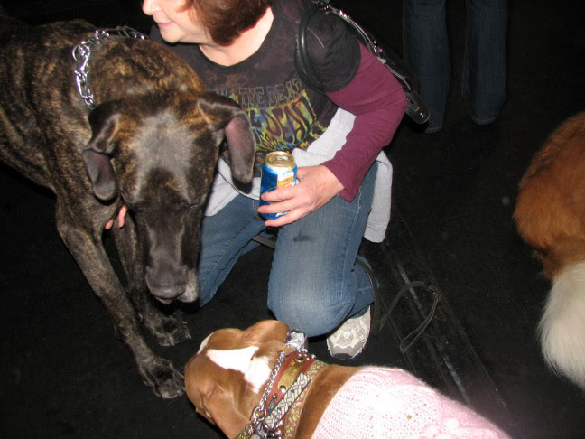 Yappy hour hosted by Central Bark