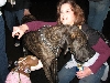 Yappy hour hosted by Central Bark