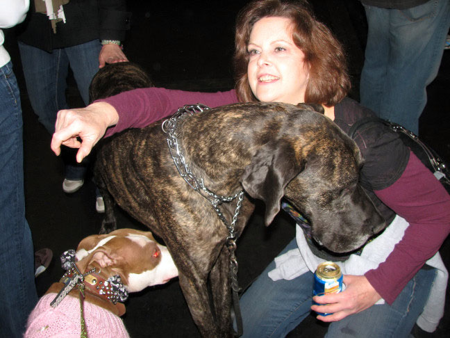 Yappy hour hosted by Central Bark