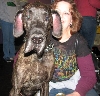 Yappy hour hosted by Central Bark