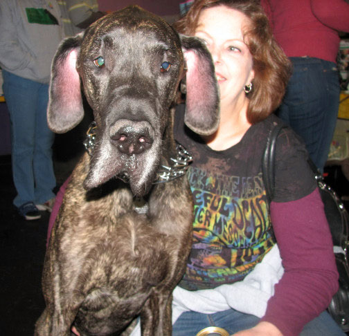 Yappy hour hosted by Central Bark