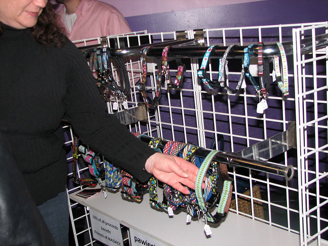 Yappy hour hosted by Central Bark