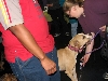 Yappy hour hosted by Central Bark