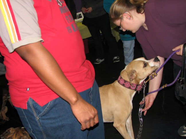 Yappy hour hosted by Central Bark