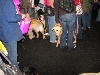 Yappy hour hosted by Central Bark