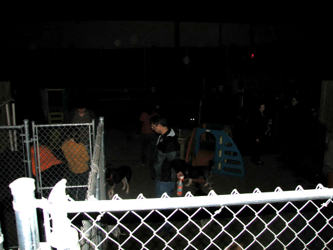 Yappy hour hosted by Central Bark