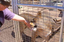 My visit to Forever Wild