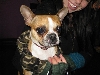 Yappy hour hosted by Central Bark