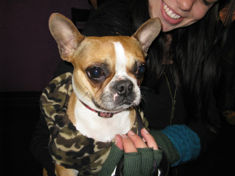 Yappy hour hosted by Central Bark