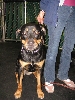 Yappy hour hosted by Central Bark