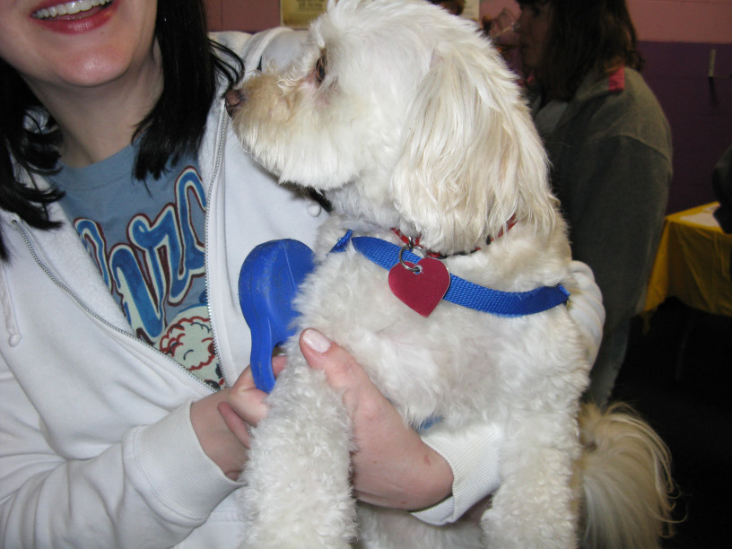 Yappy hour hosted by Central Bark