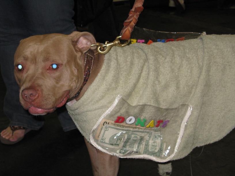 Yappy hour hosted by Central Bark