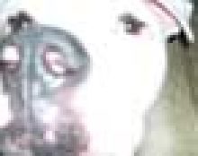 nose close up
