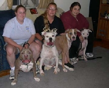 4 male bullies all in a row