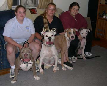 4 male bullies all in a row