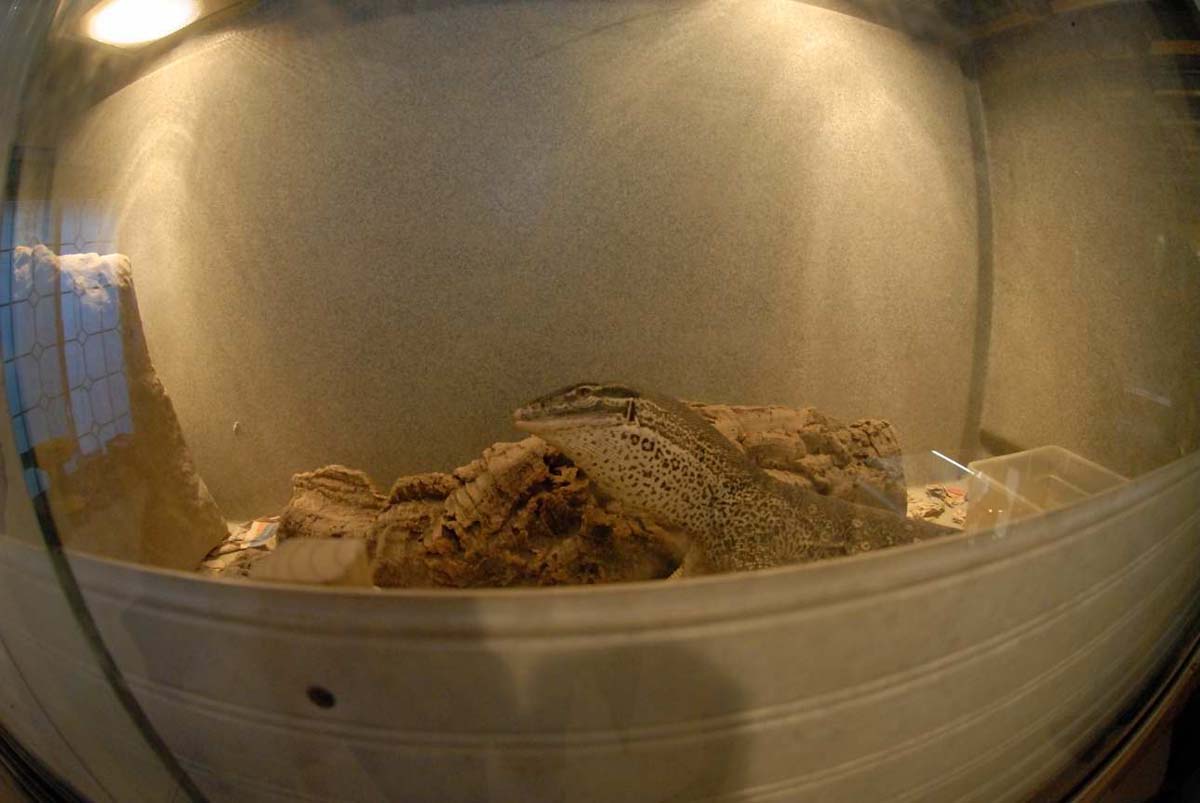 Argus Monitor