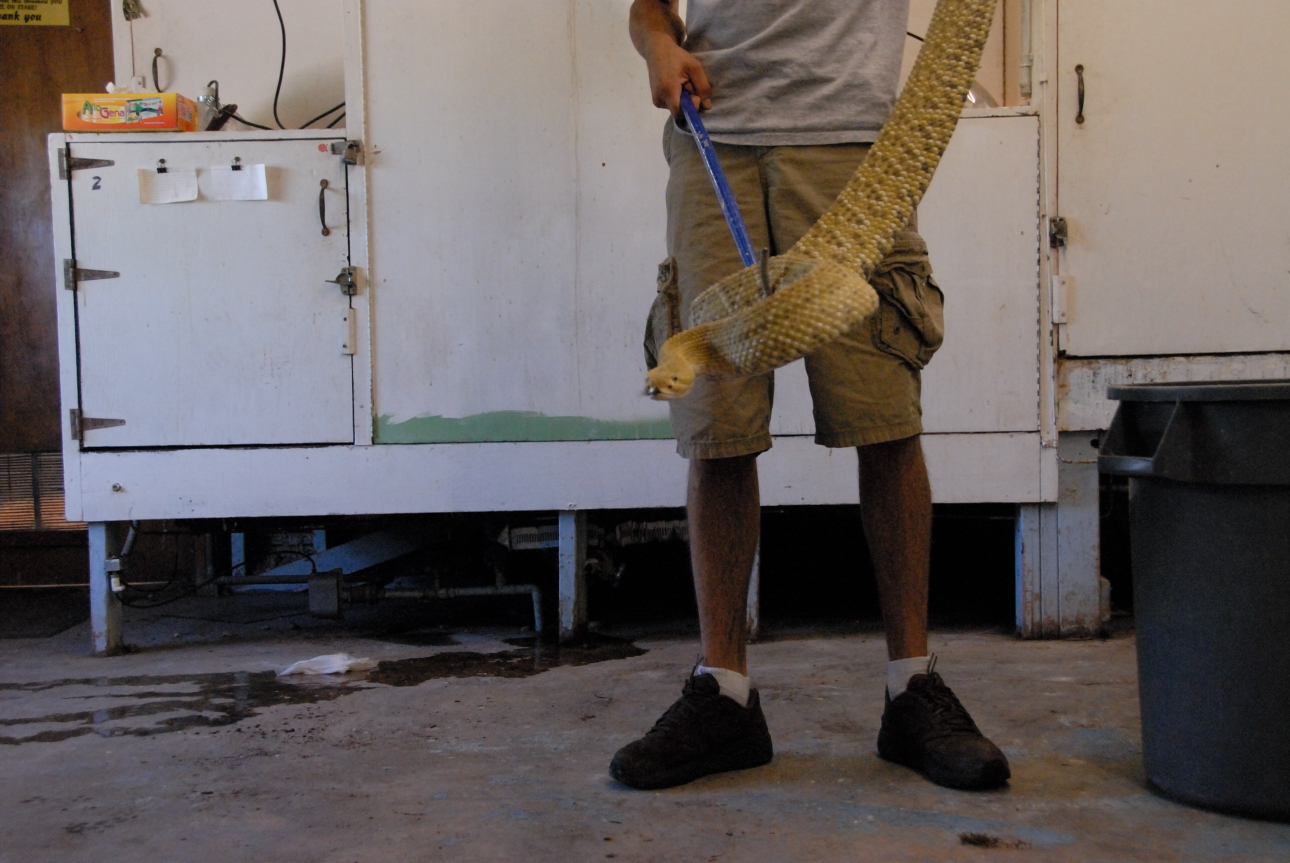 PHFaust and Family take a trip to Reptile Gardens