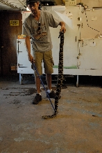 PHFaust and Family take a trip to Reptile Gardens