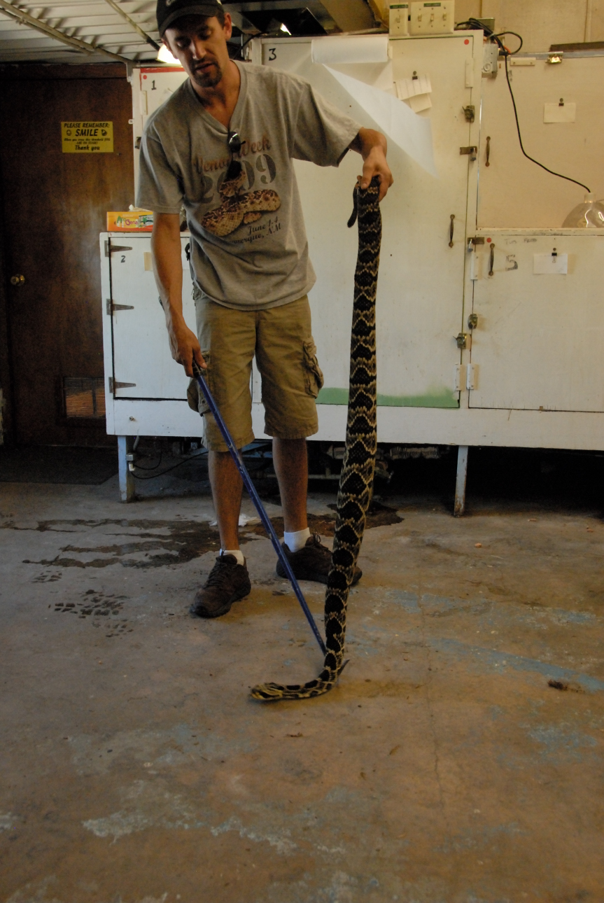 PHFaust and Family take a trip to Reptile Gardens
