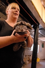PHFaust and Family take a trip to Reptile Gardens