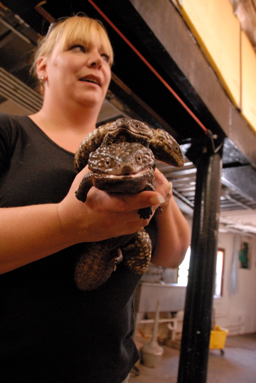 PHFaust and Family take a trip to Reptile Gardens