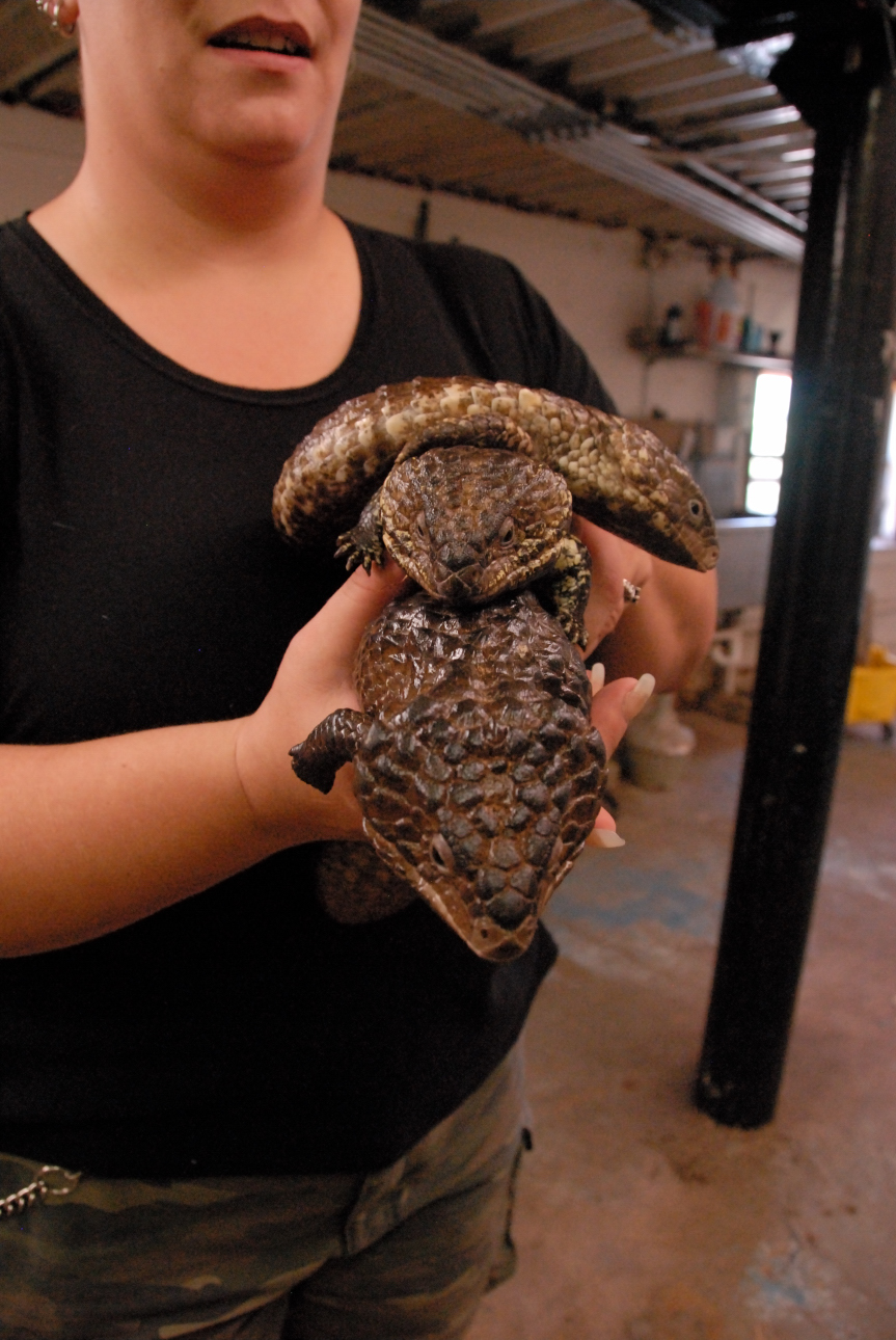 PHFaust and Family take a trip to Reptile Gardens
