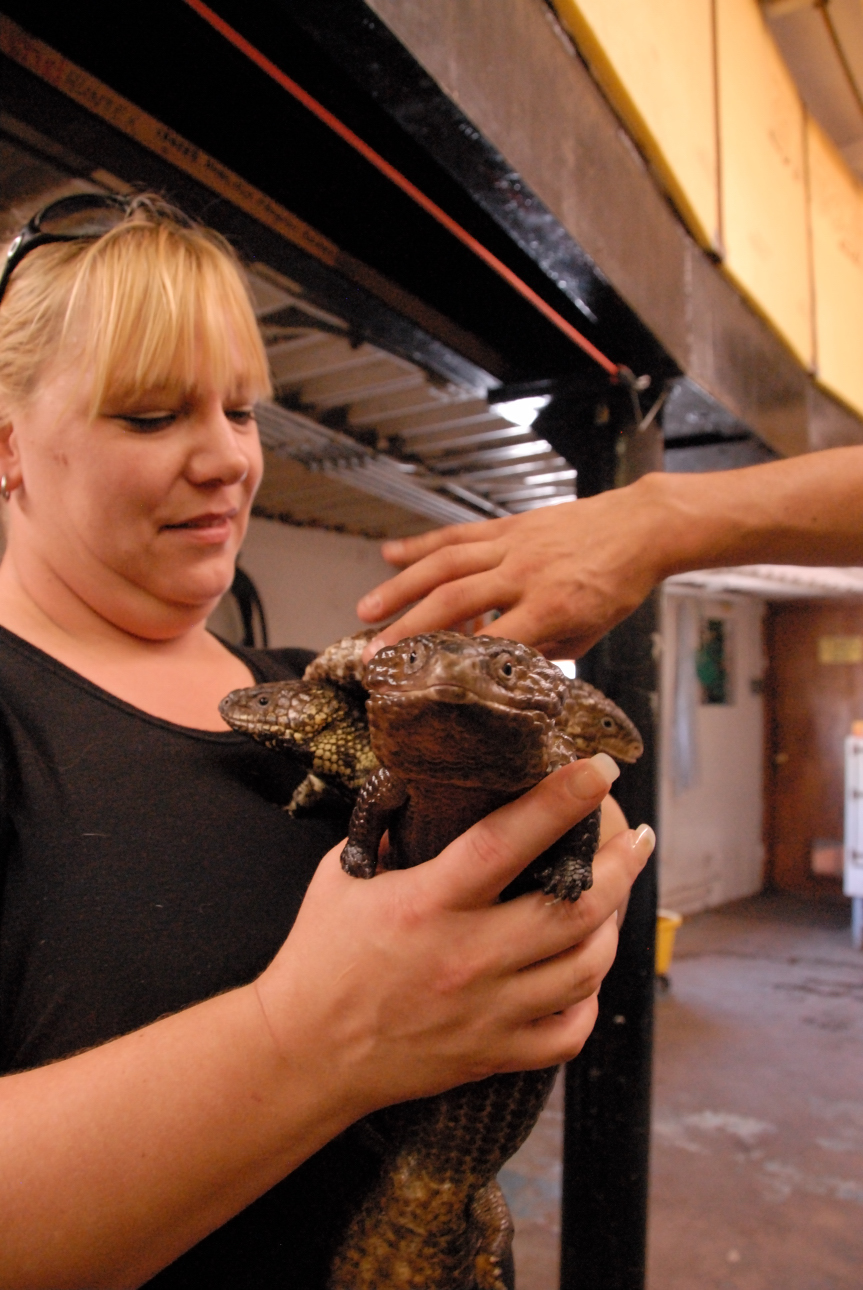 PHFaust and Family take a trip to Reptile Gardens